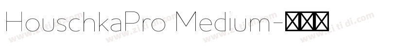 HouschkaPro Medium字体转换 HouschkaPro Medium字体转换